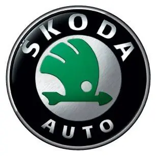 Jetzt Bestellen Oppi Spiegel Skoda Oktavia und Superb