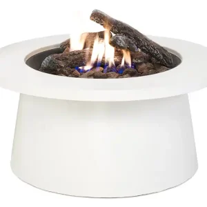Cosi Fires Cosiglobe Gaskamin Neue Ware