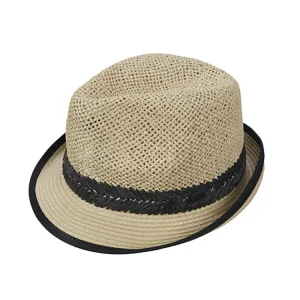Icepeak Hawesville Herren Hut - Beige Jetzt Bestellen