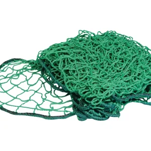 Aktuell Carpoint Anhängernetz mit Elastischem Rand - 250 x 160 cm
