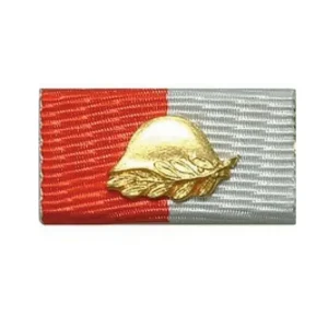 Ordensspange Berner Marsch m. Helm gold Meistverkauft