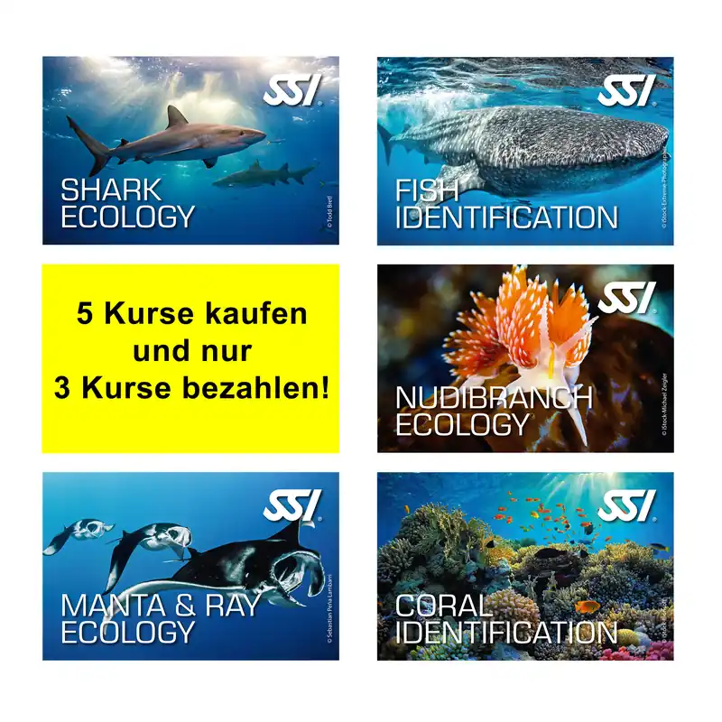 SSI Ecology Sparpaket 5 für 3 - digital, direkt zertifiziert durch divestore SSI Instructor Neu