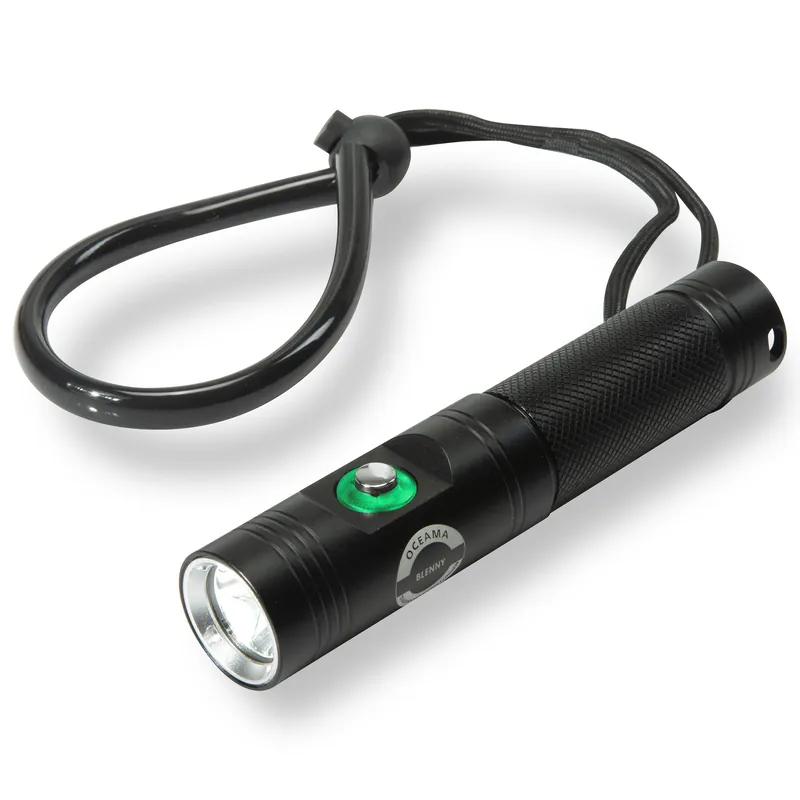 Versand Am Gleichen Tag Oceama® Tauchlampe Blenny - 860 Lumen - schwarz